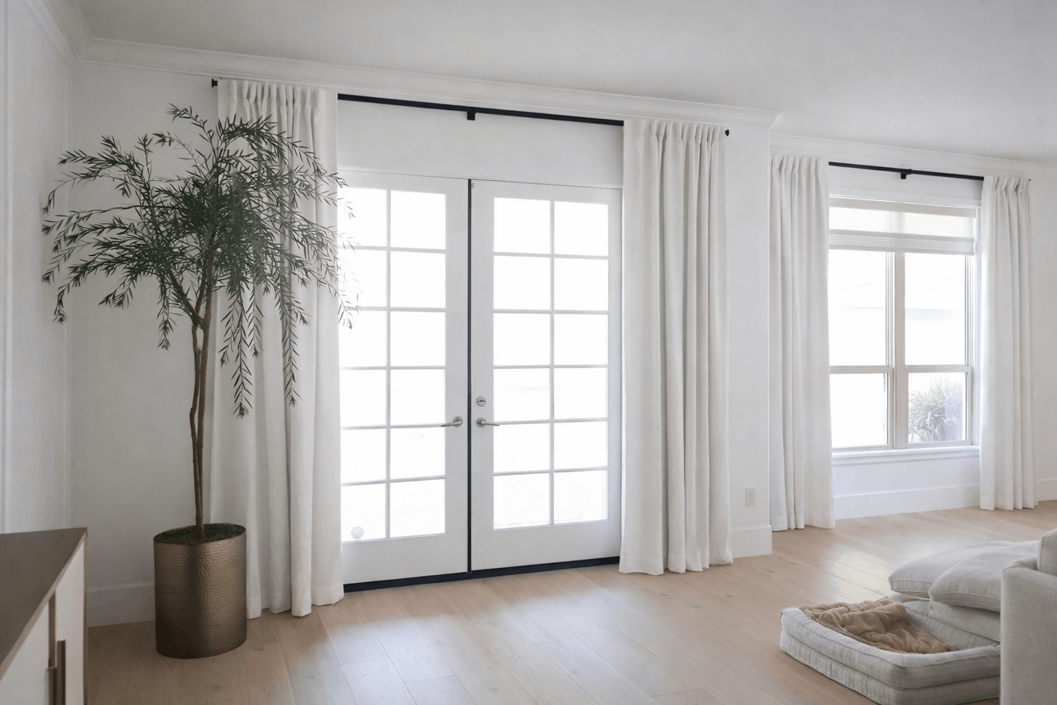 Bright, white living room with French doors, a window, and white curtains. Large houseplant in gold pot.