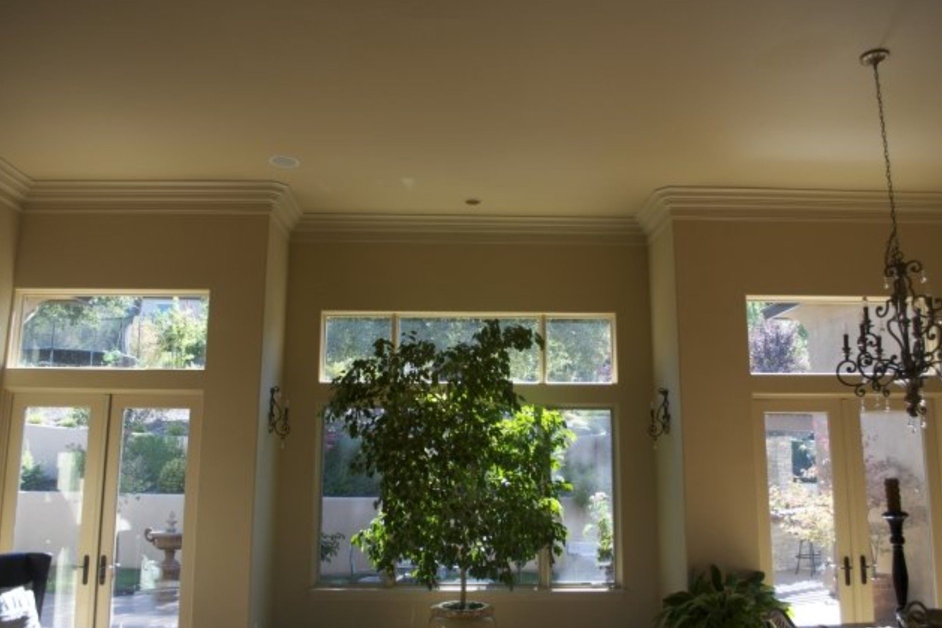 Interior view of room with large windows, crown molding, and a tree in front of a sunny outdoor scene.