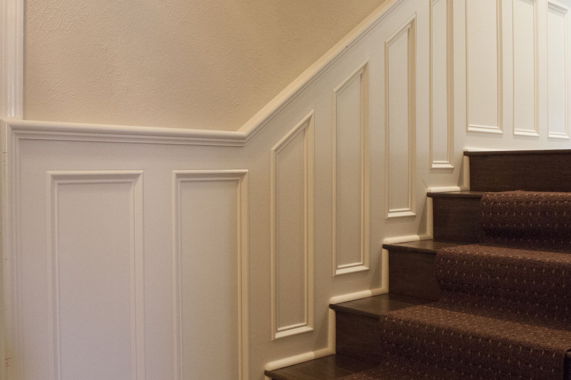 Staircase with white paneling on the walls, brown carpet on steps, and beige walls.