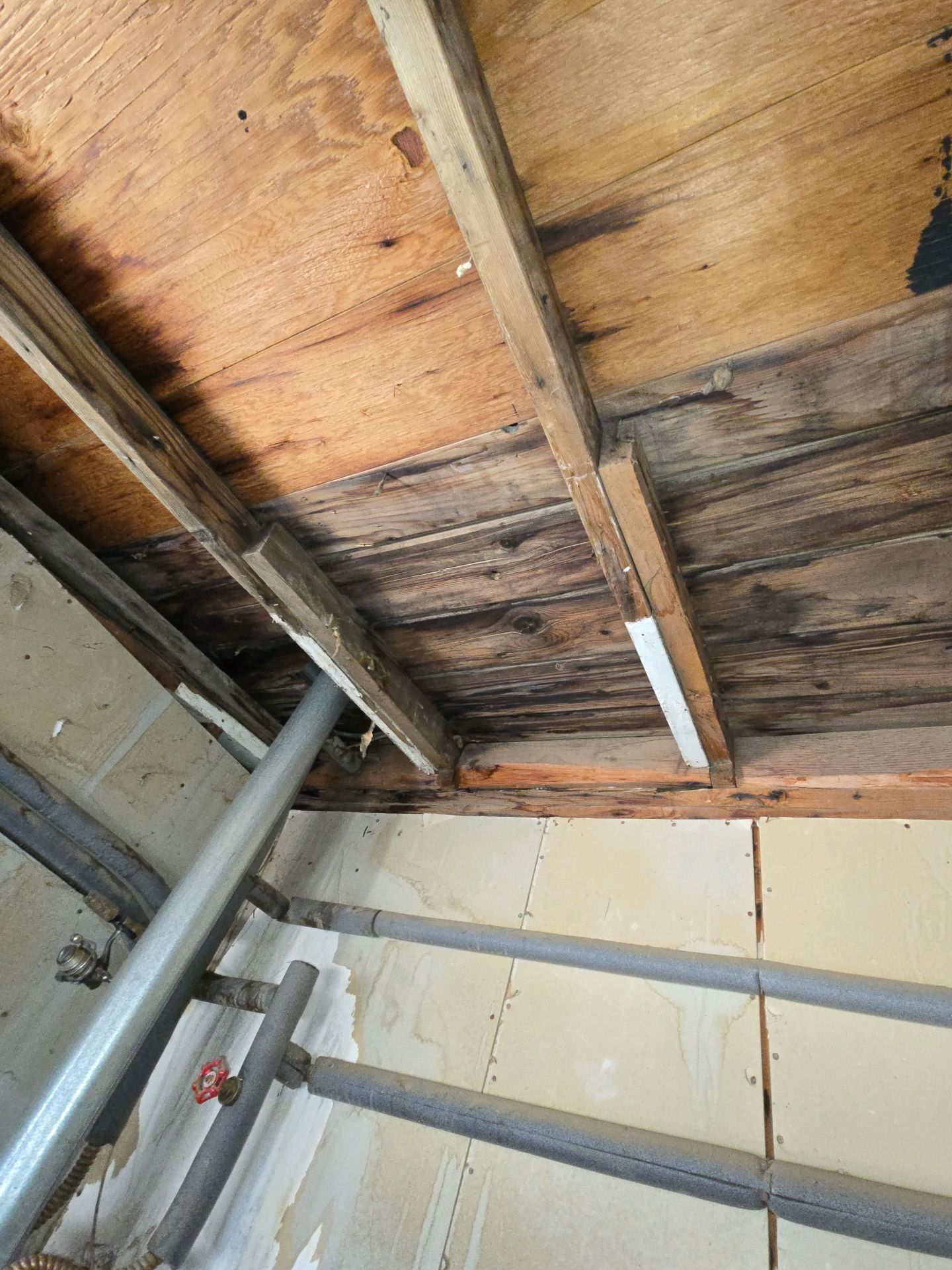 An interior view of a basement ceiling showing dark water stains and wood decay on the floor joists and subflooring.