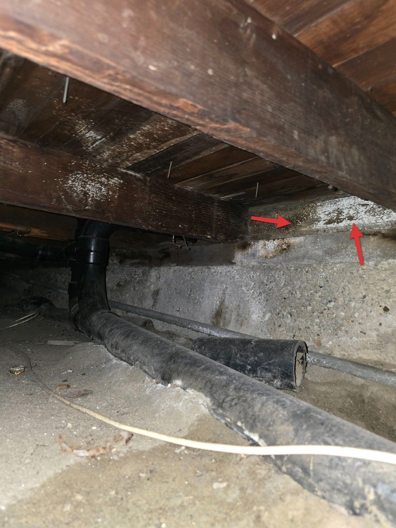 Crawl space with black plumbing pipes and white efflorescence on a concrete foundation wall near wooden floor joists.