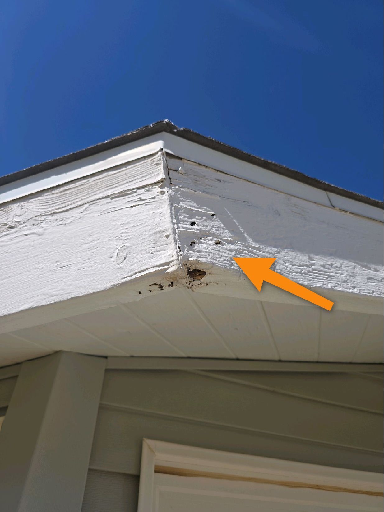 Close-up of white wooden roof fascia with paint peeling and rot, marked by an orange arrow pointing to the damage.