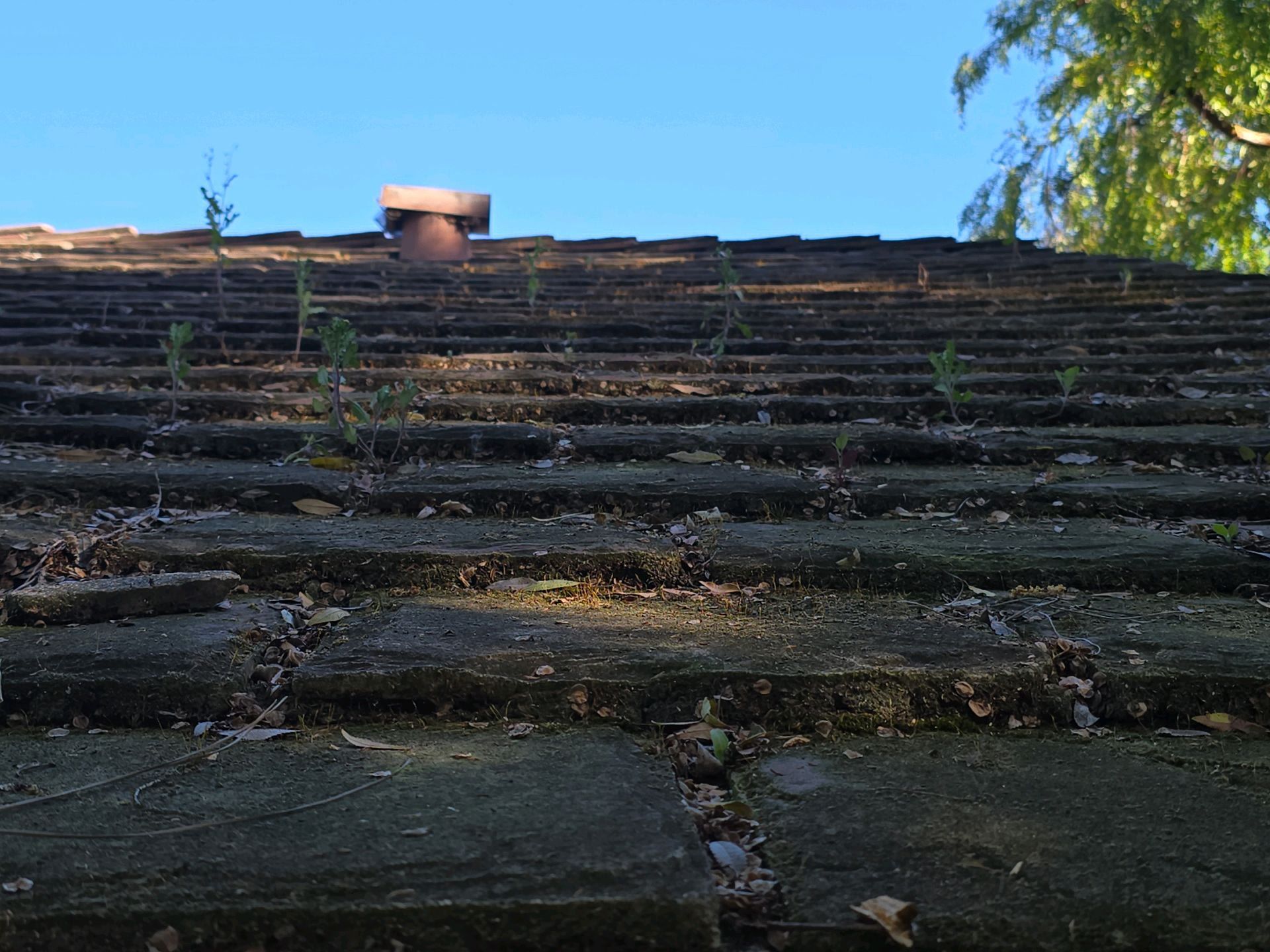 A low-angle view of a weathered, dark-tiled roof with weeds growing between gaps, under a clear blue sky.