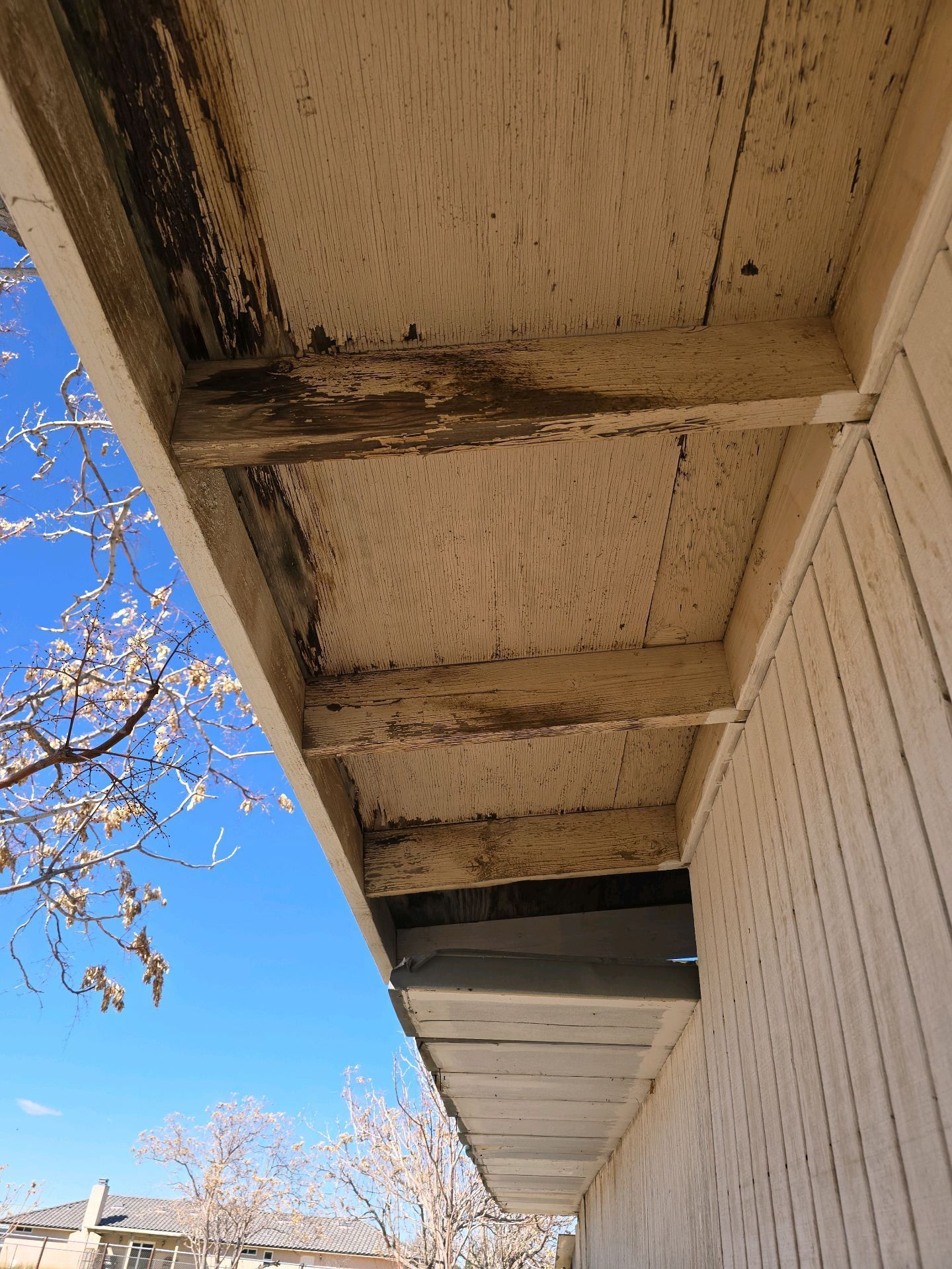 Close-up view of an exterior wooden eave with peeling paint and visible water damage under a bright blue sky.