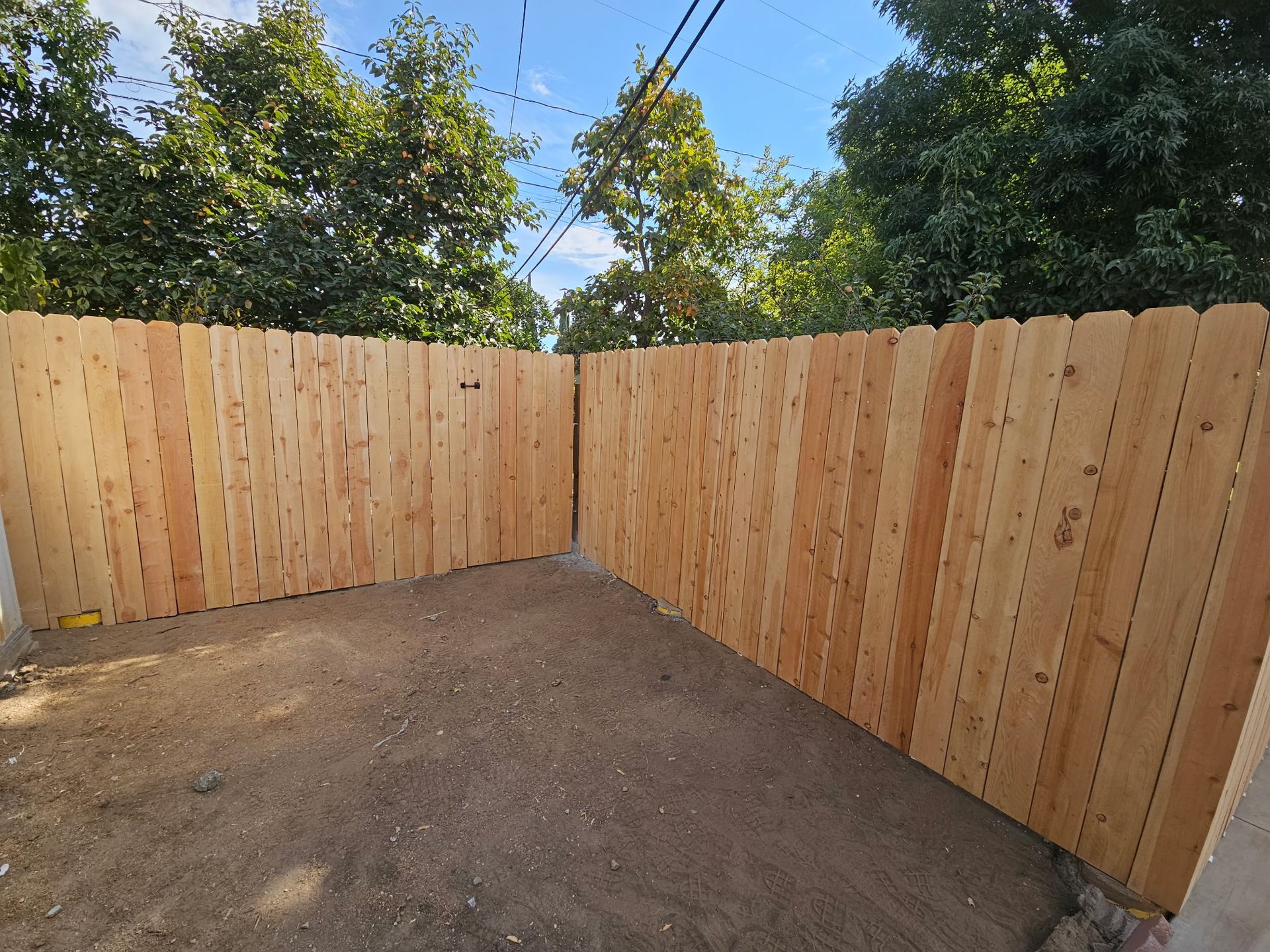 A corner section of a new, light-colored wooden fence standing on bare dirt in a backyard with trees in the background.