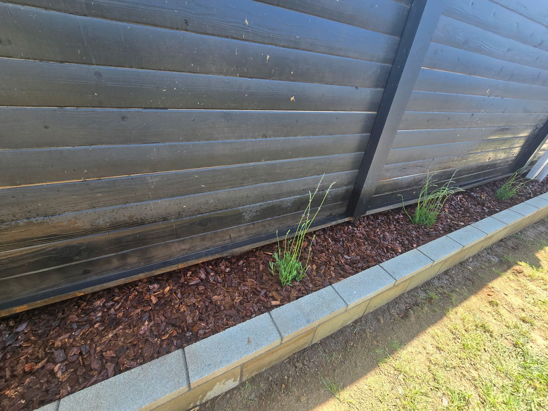 A dark horizontal slat fence behind a garden bed with mulch, small green plants, and light gray stone edging.