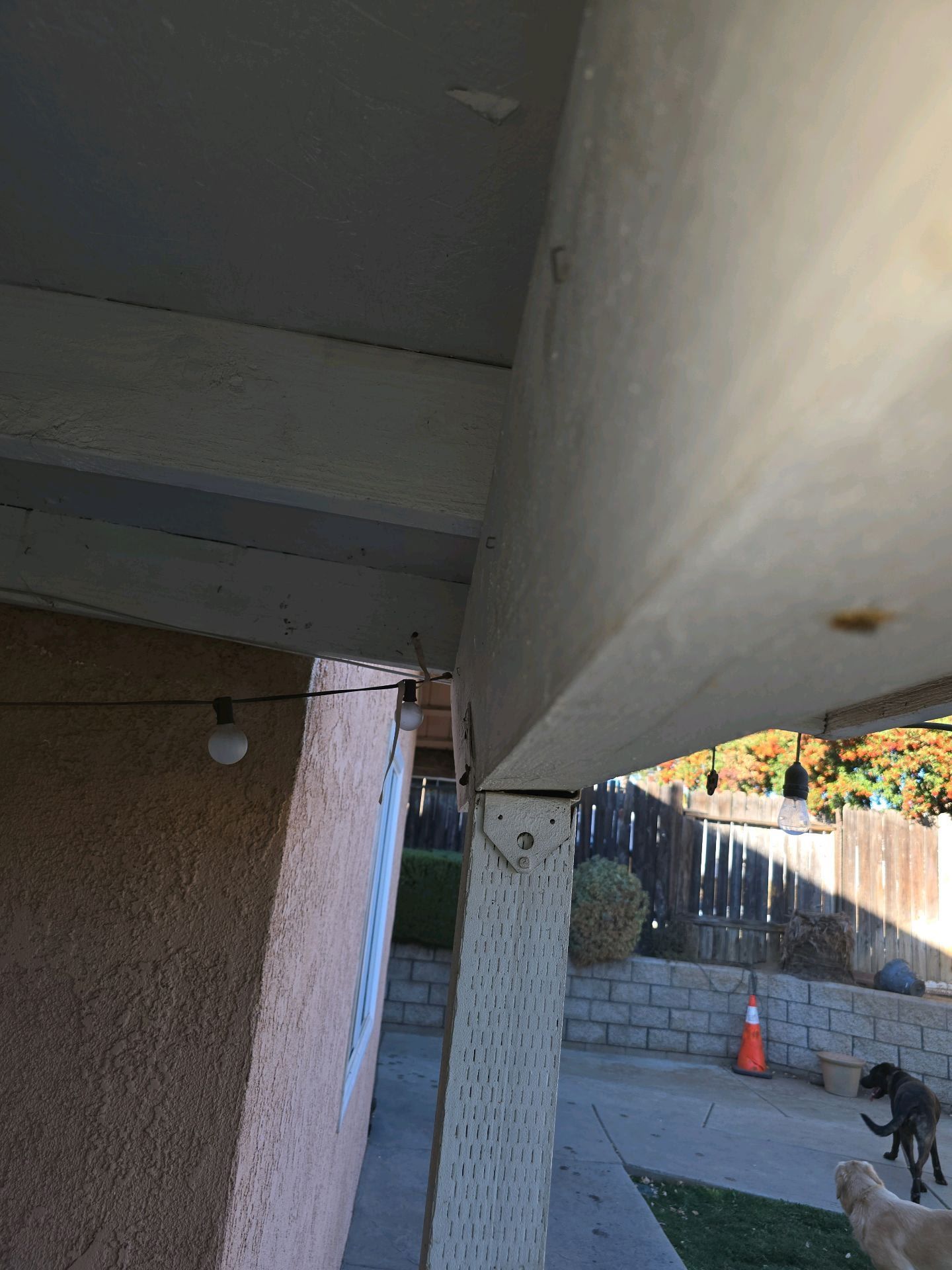 A support post and wooden beam on a porch, with a view of a backyard, a retaining wall, and two dogs in the distance.