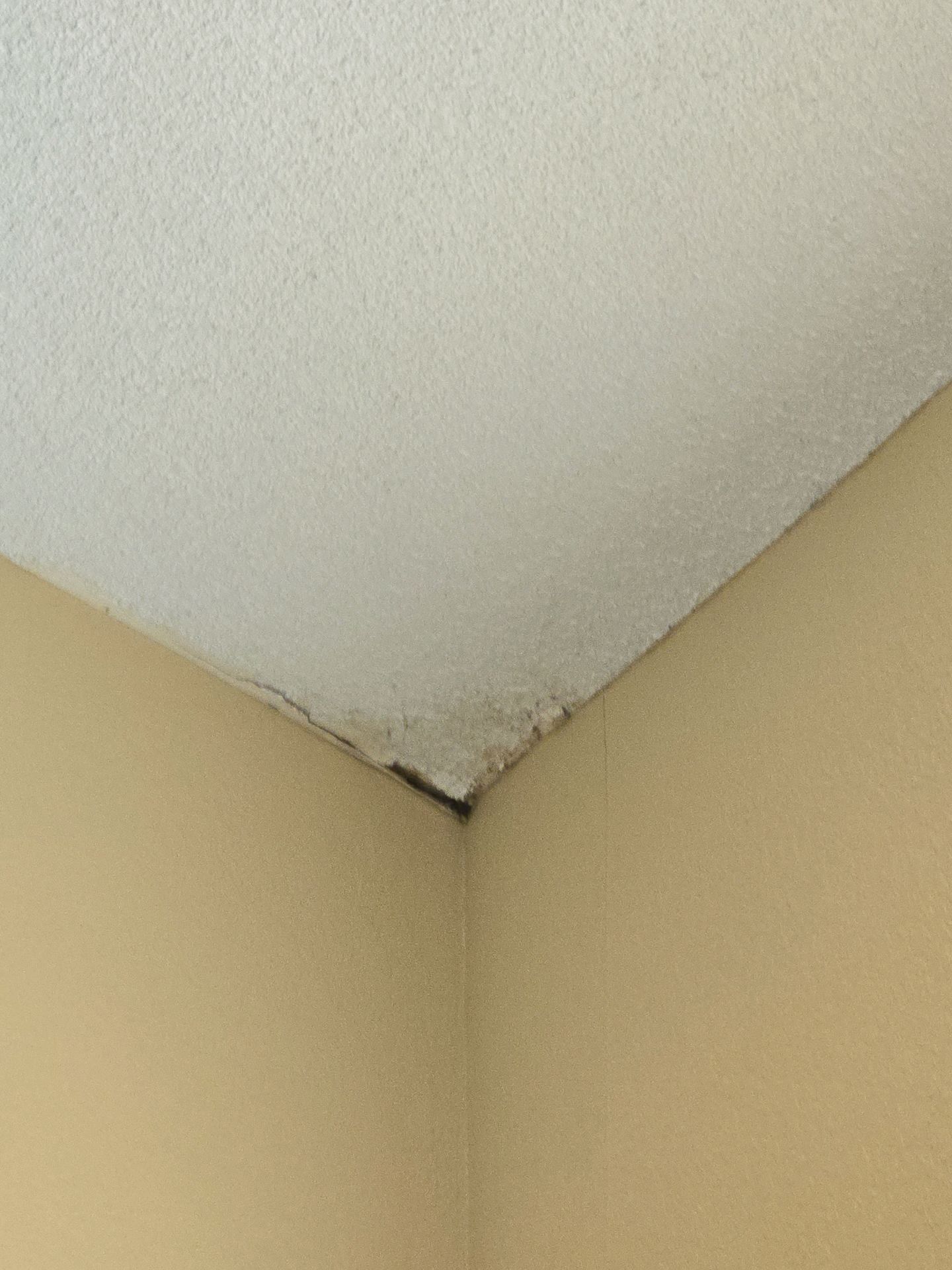 Stained, peeling paint in the corner where the cream-colored wall meets the textured white ceiling.