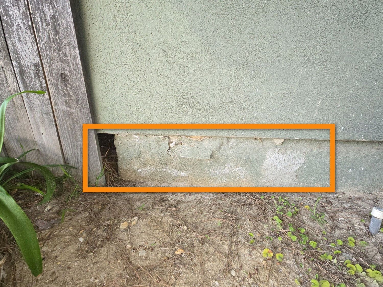 A dark snake partially visible in a hole beneath the stucco wall of a house, marked by an orange rectangular outline.