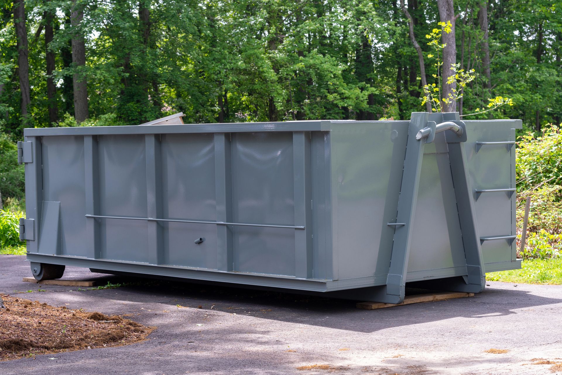 A large, empty grey roll-off dumpster sitting on an asphalt surface in front of a wooded area.