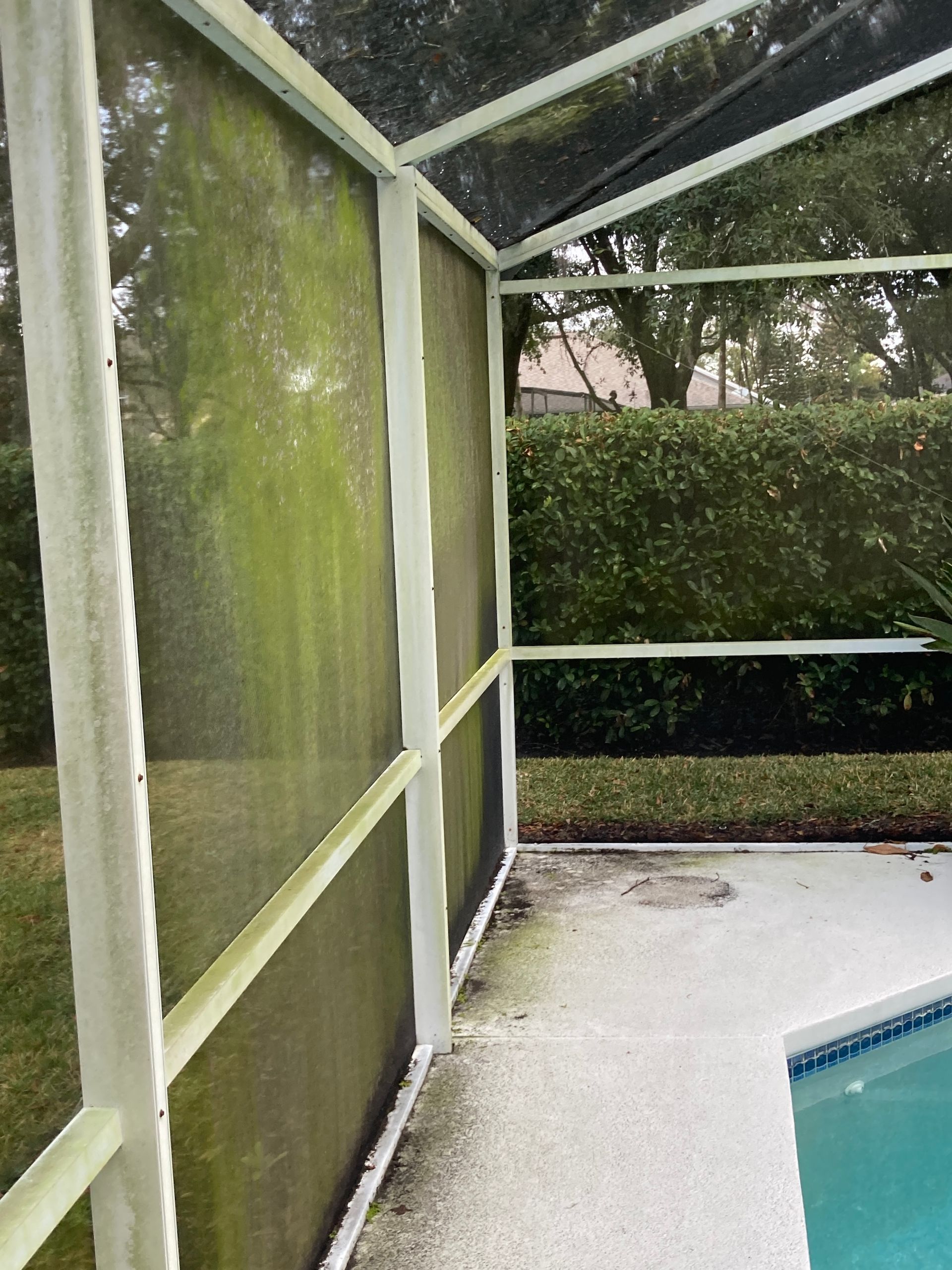 A dirty swimming pool enclosure with algae-covered screen panels and concrete flooring next to a pool.