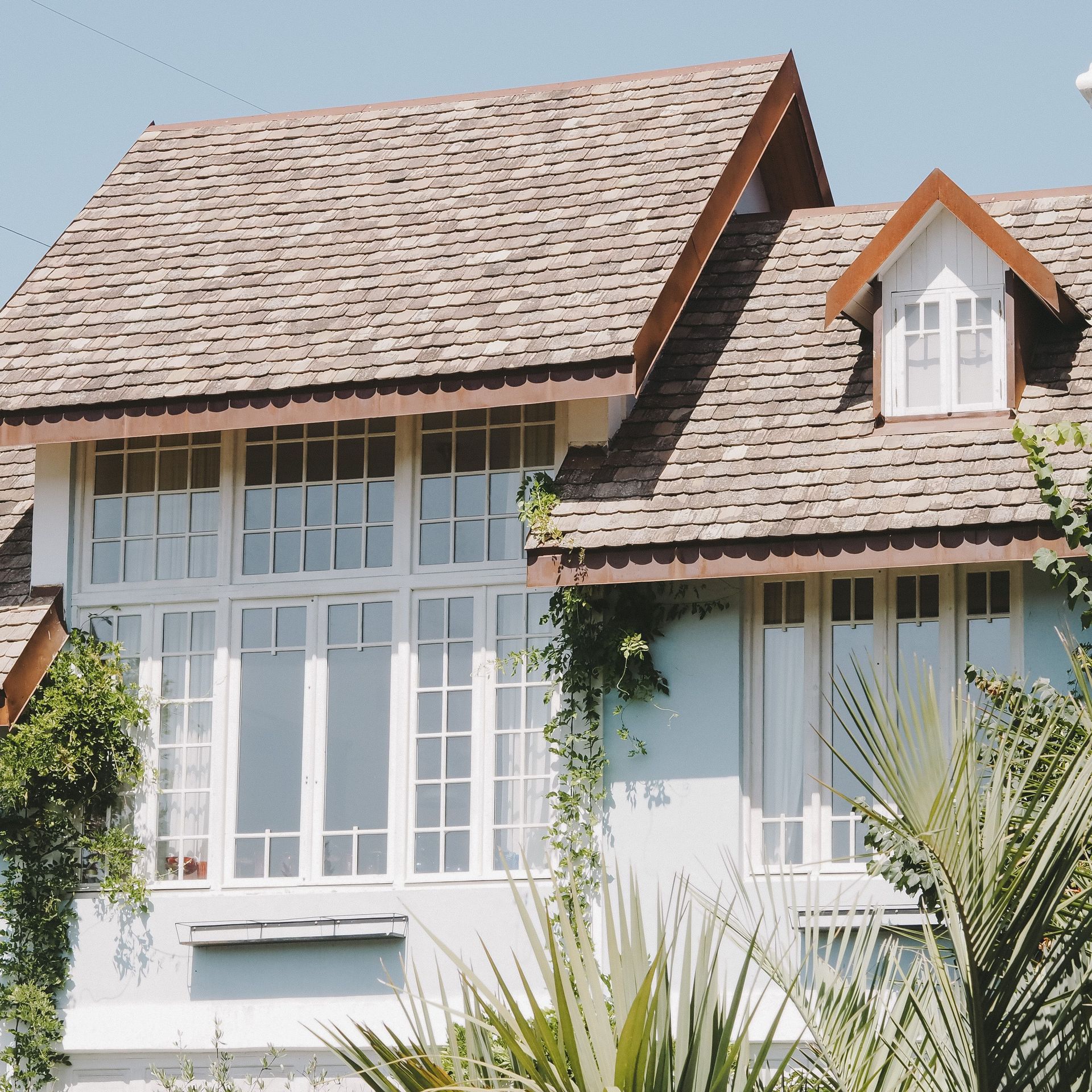 White house with large windows, gray shingle roof, and palm fronds in the foreground.