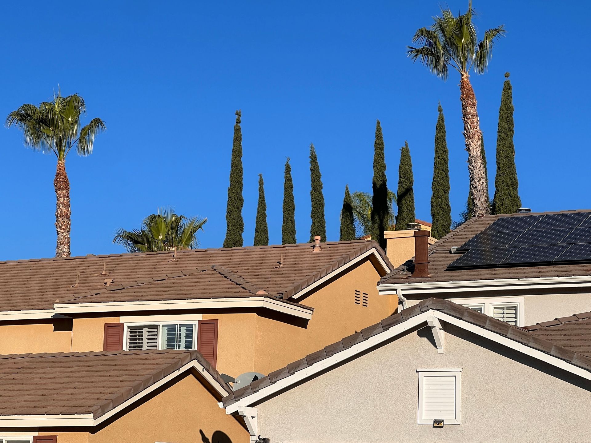 Suburban rooftops with palm trees against a clear blue sky
