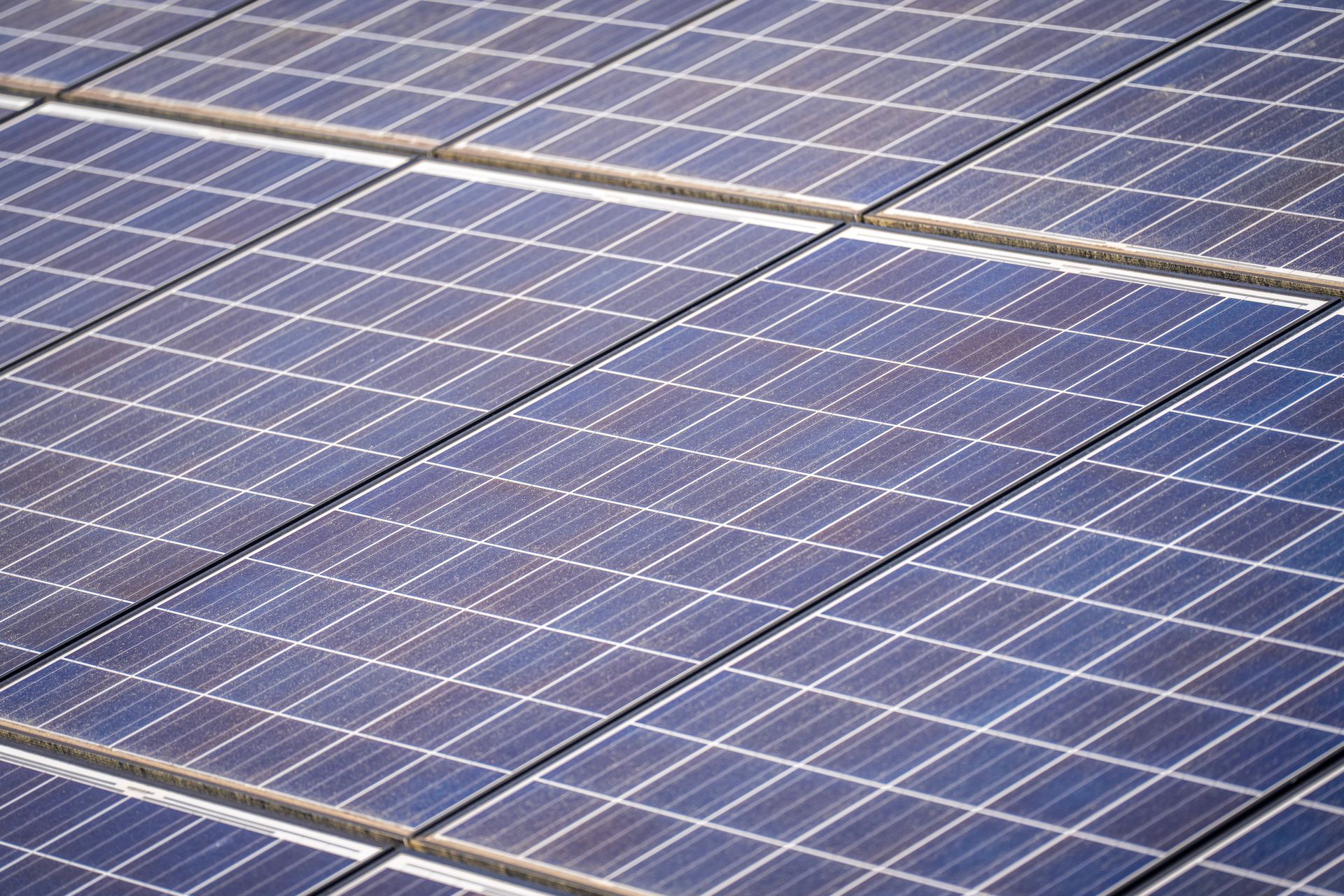 Rows of blue solar panels reflecting sunlight in a solar farm