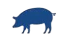 Antica Macelleria Pacini