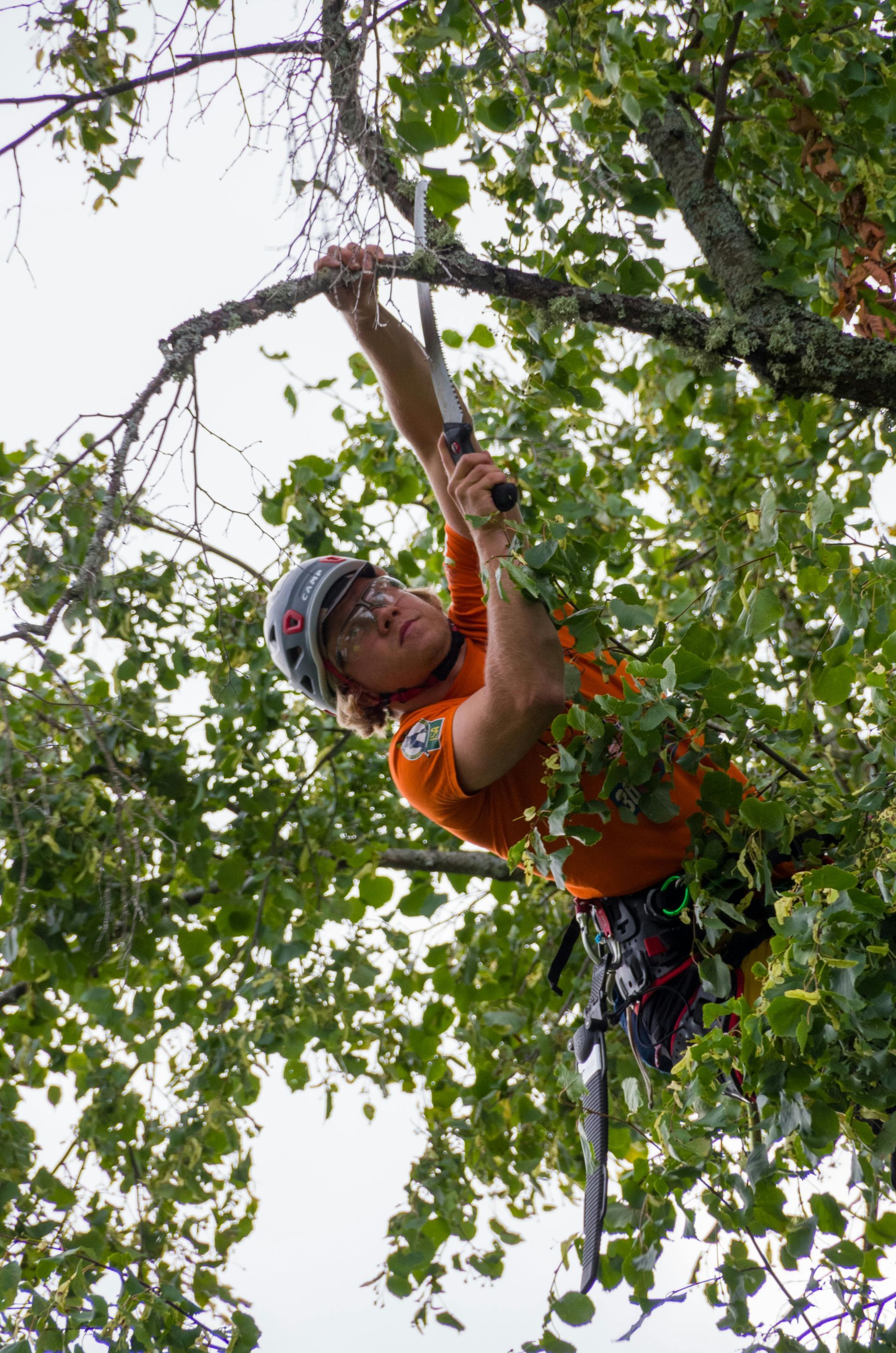 Climber in orange shirt and helmet ascending a tree amid green leaves