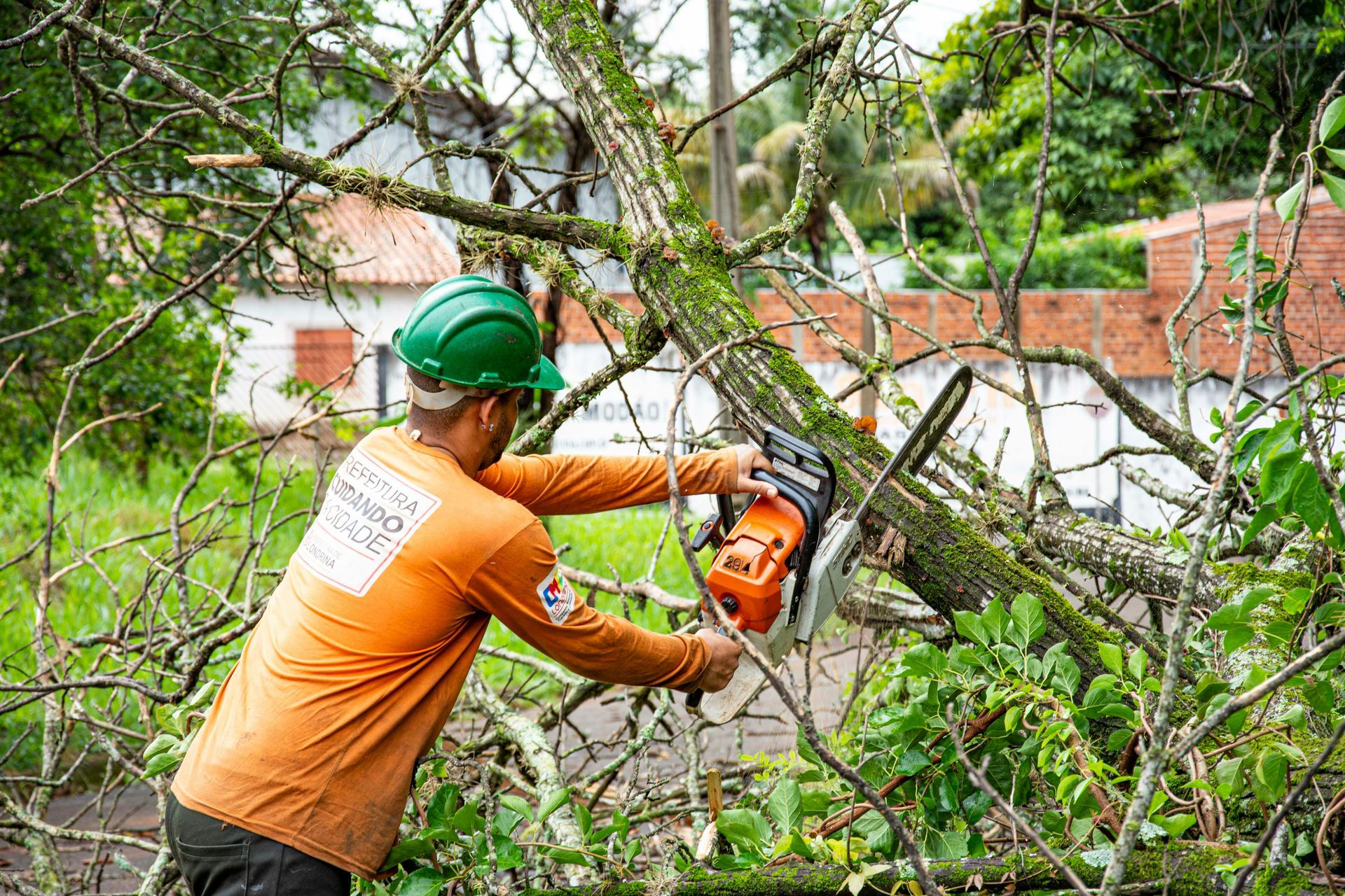 Worker in green helmet cutting branches with a chainsaw in a leafy yard
