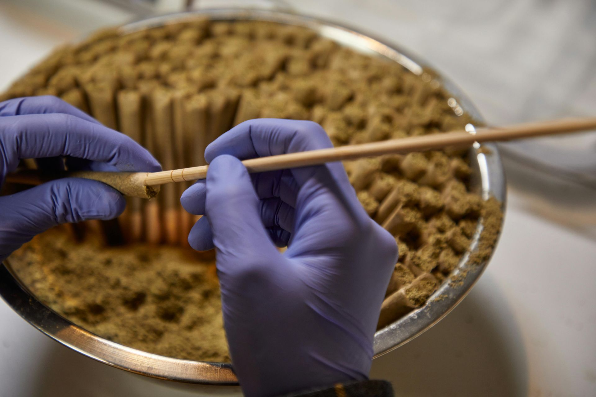 Gloved hands holding a wooden stick over a bowl of brown crumbly material