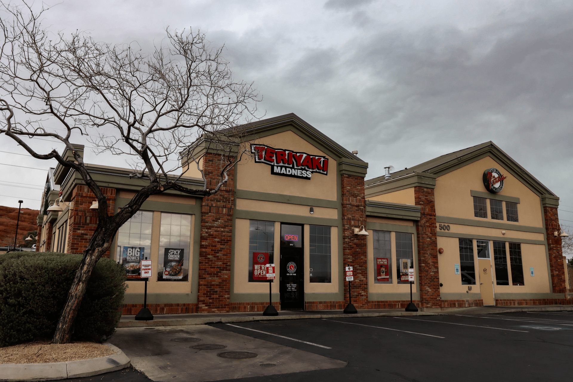 Teriyaki Madness