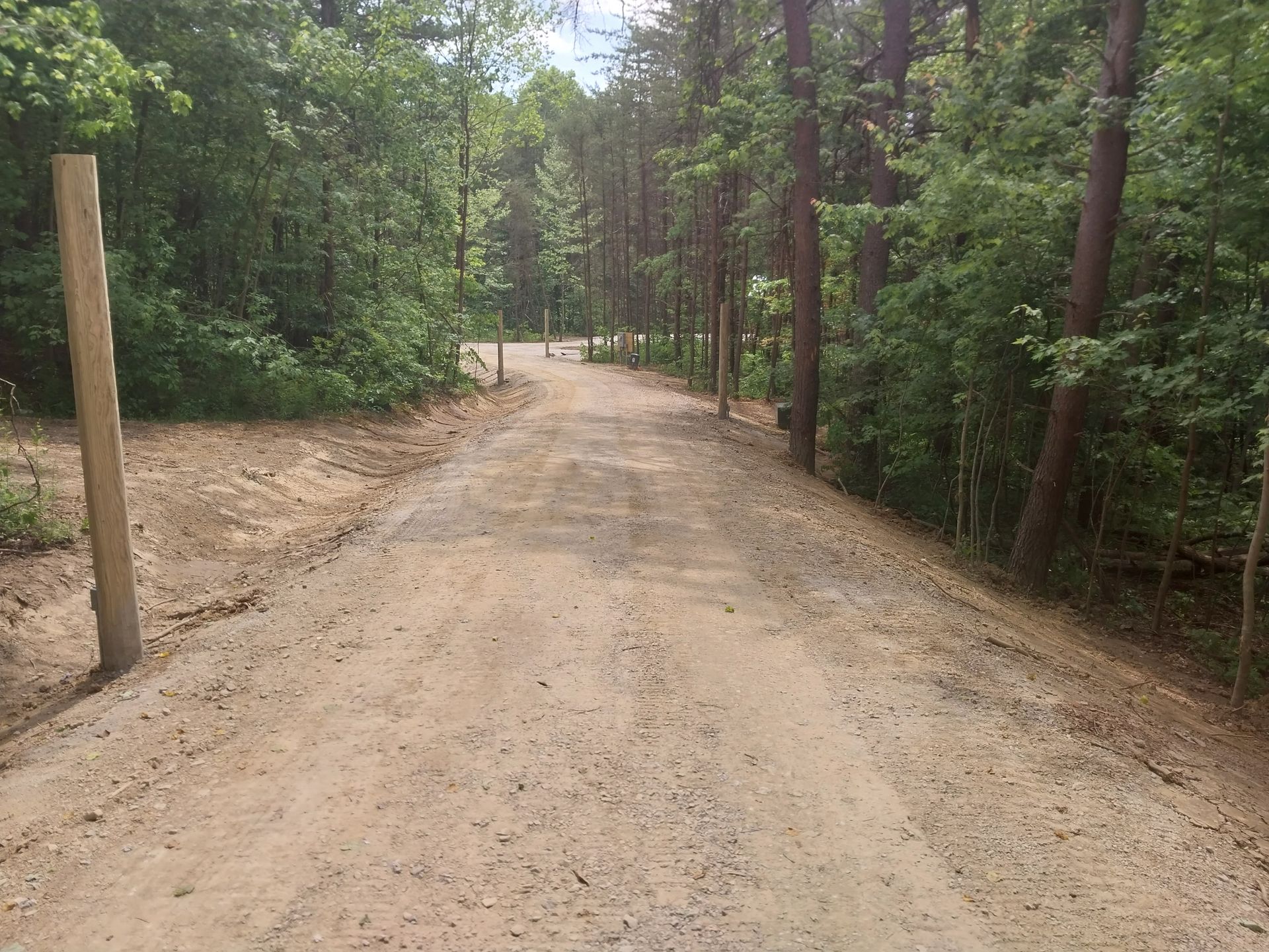 Dirt road through a forest with wooden posts lining the sides.