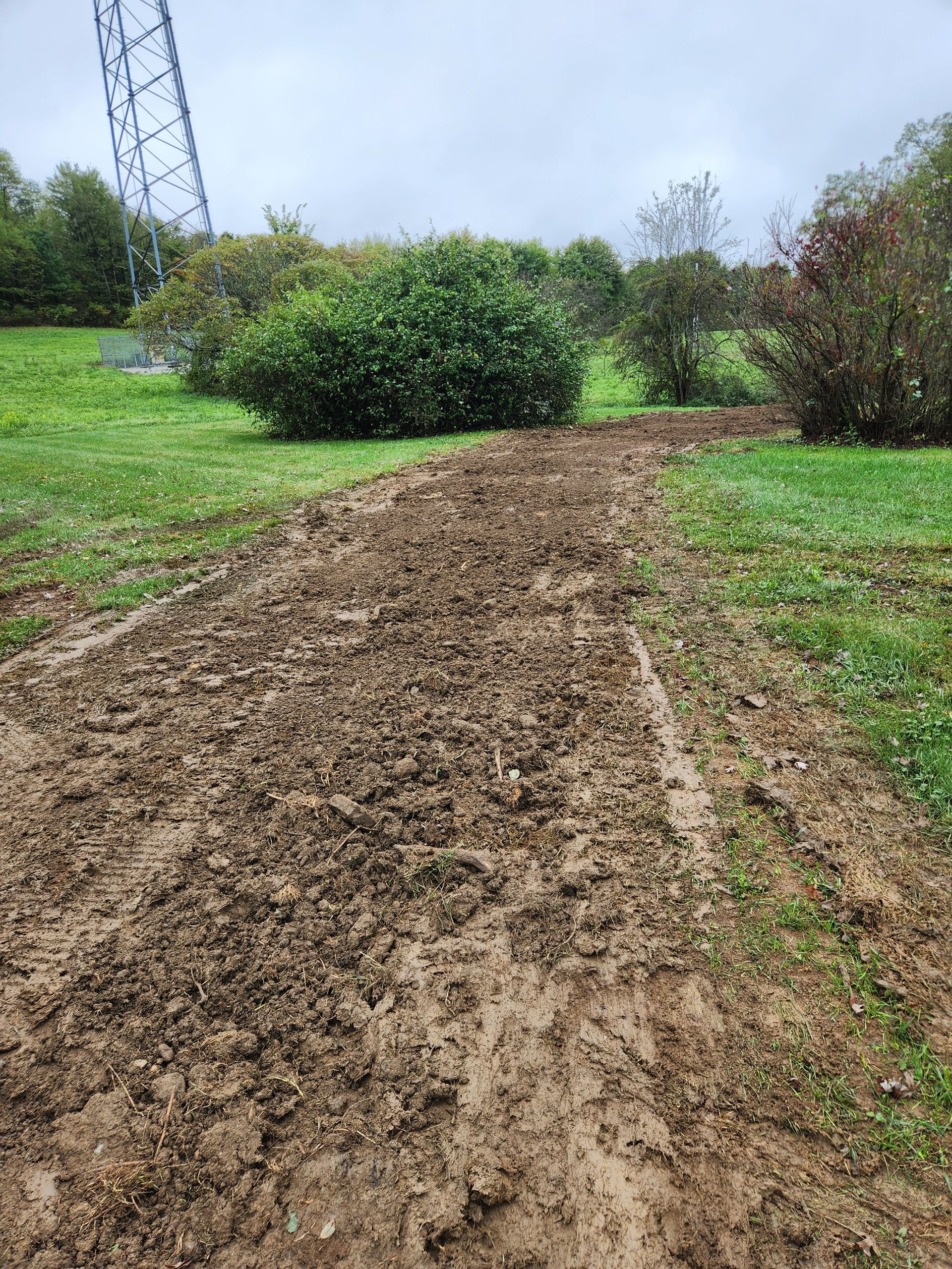 Muddy path through grassy area, overcast sky.