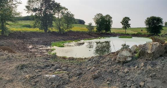 A pond surrounded by dirt and trees, reflecting the sky.
