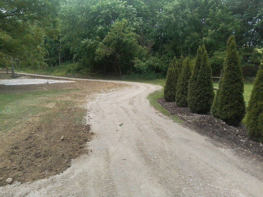 A gravel driveway curves through a yard, past a row of green evergreen trees, with a wooded backdrop.