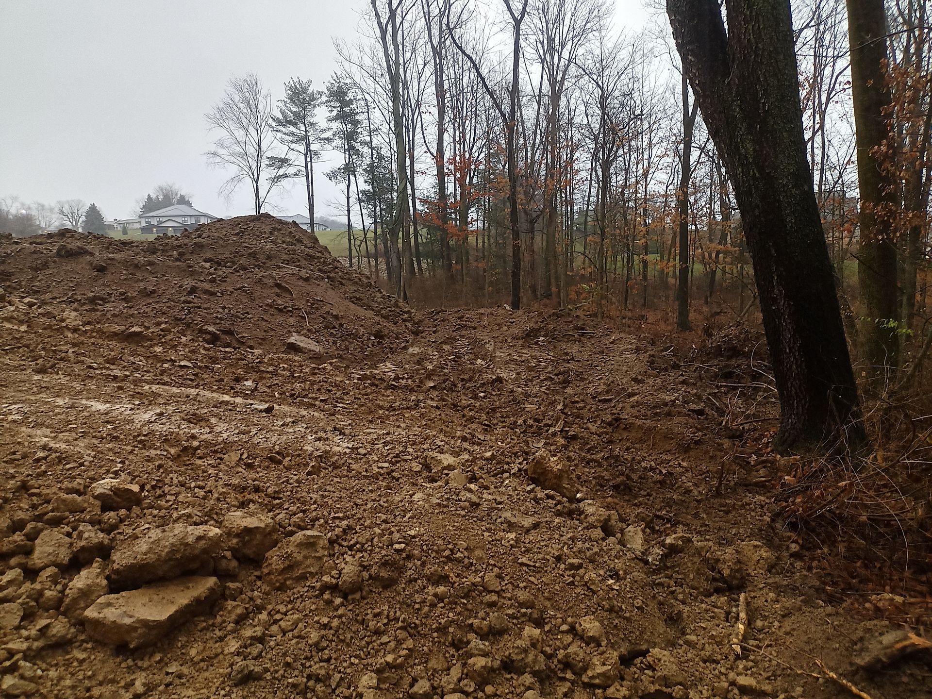 Brown muddy terrain with dirt piles, trees, and overcast sky.