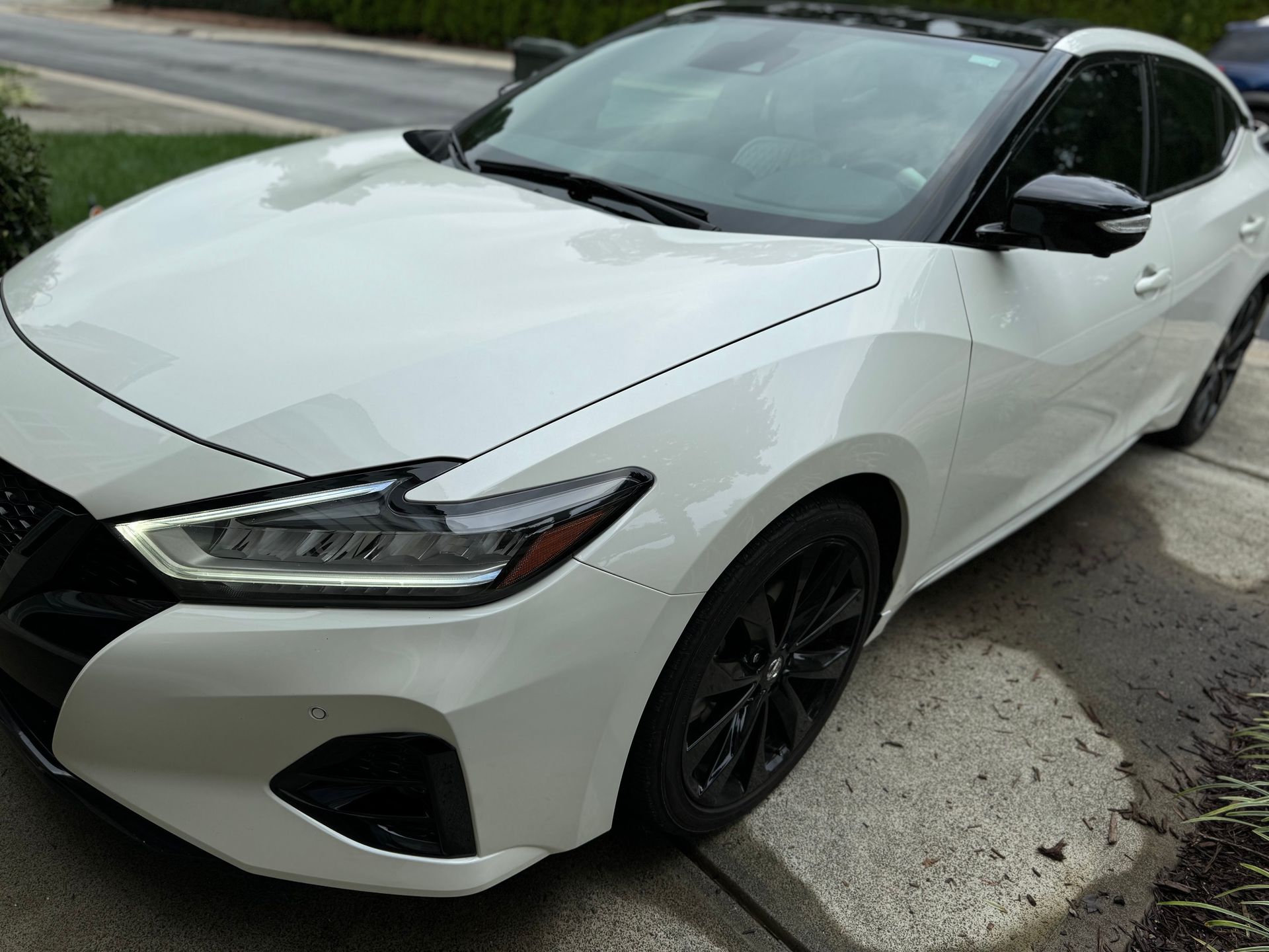 A white Nissan Maxima sedan with a black roof and black wheels, parked on a paved driveway next to a street.
