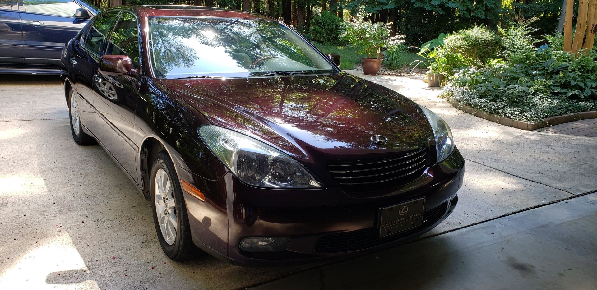 A dark maroon sedan parked in a sunlit residential driveway with lush green trees and foliage in the background.