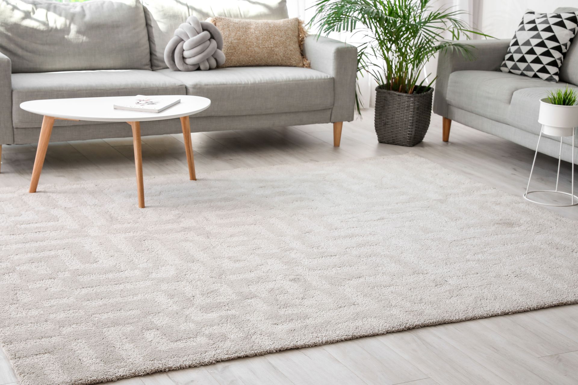 Carpet Contractors in Troy, MI