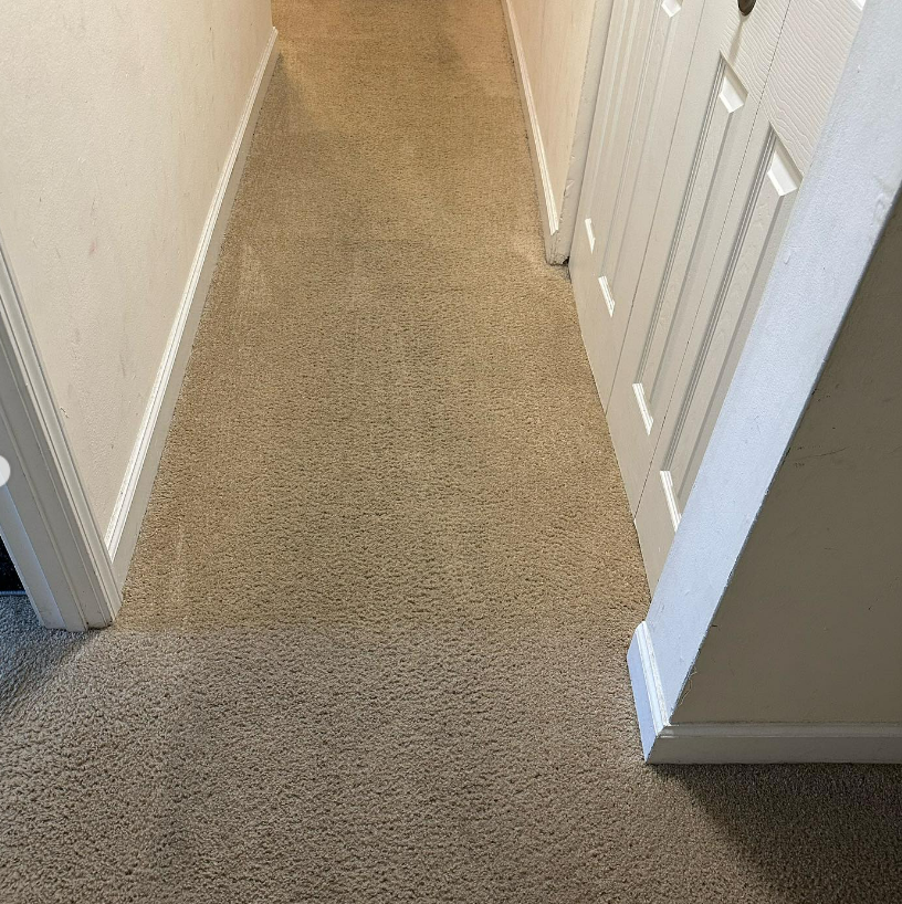 a hallway with a carpeted floor and white walls .
