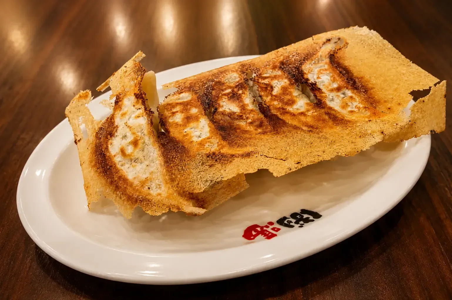 Plate of pan-fried Japanese gyoza dumplings connected by a thin, crispy lace crust.