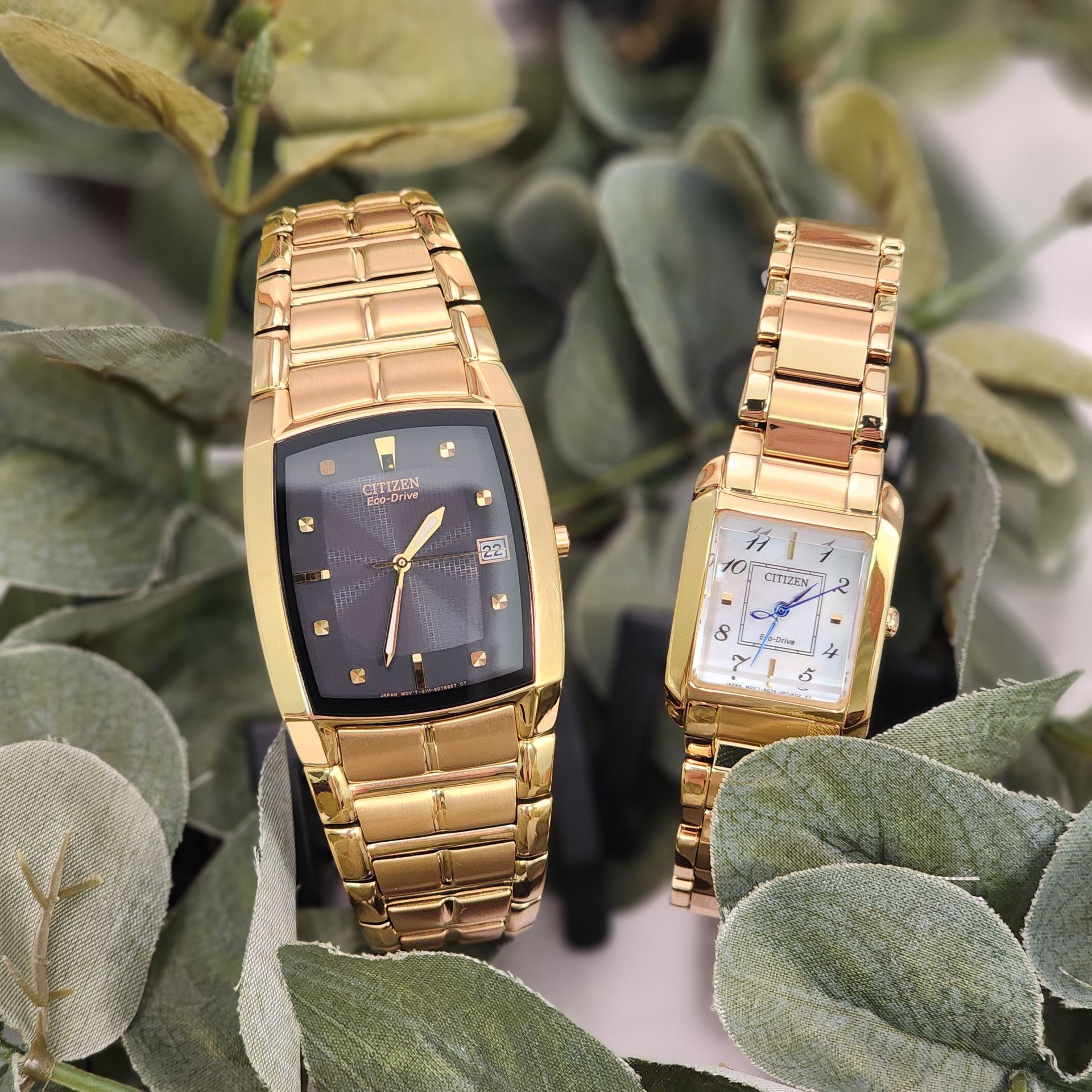 Yellow Citizen Eco drive watches