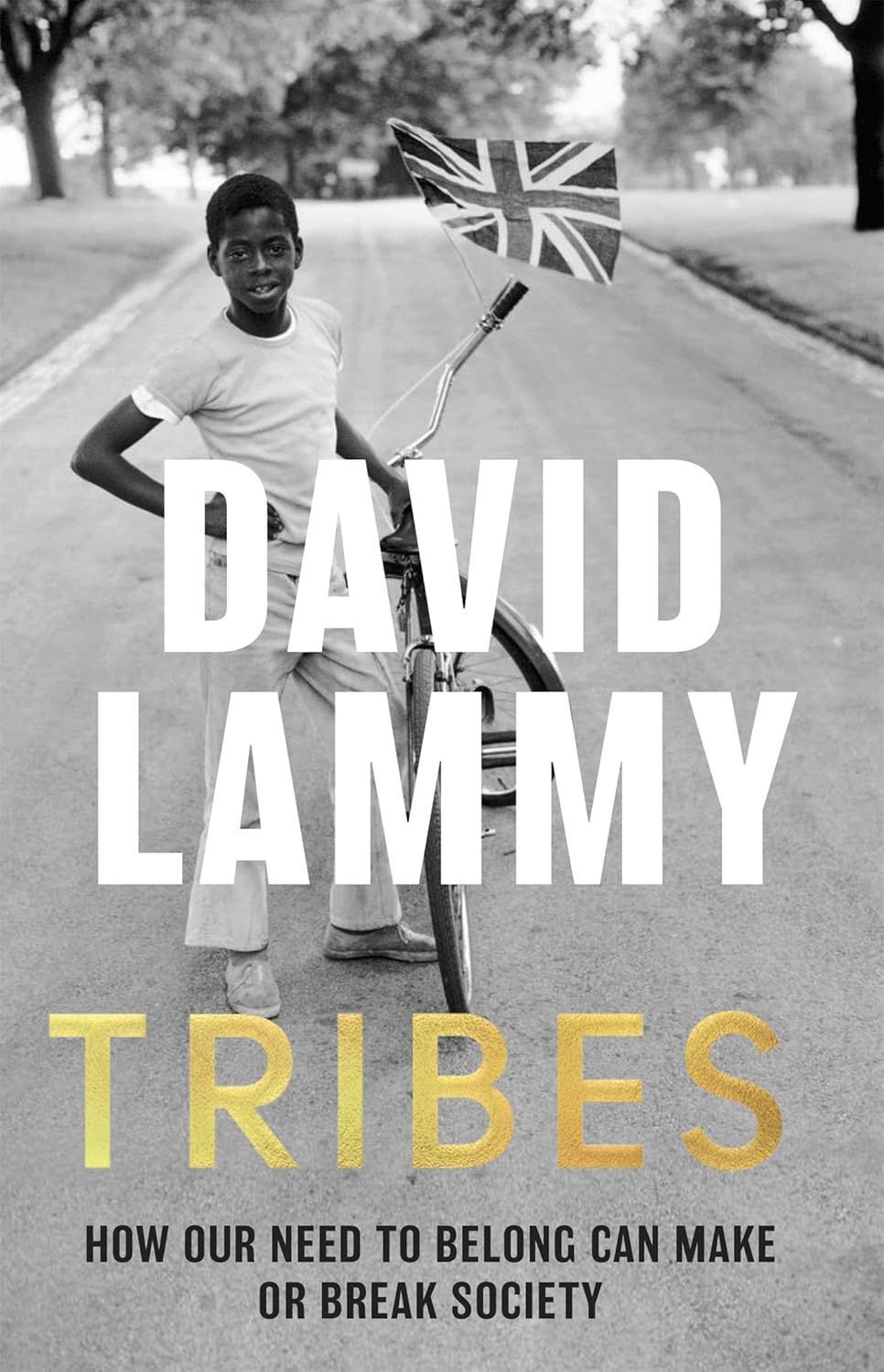 Tribes by David Lammy — Black British identity and belonging