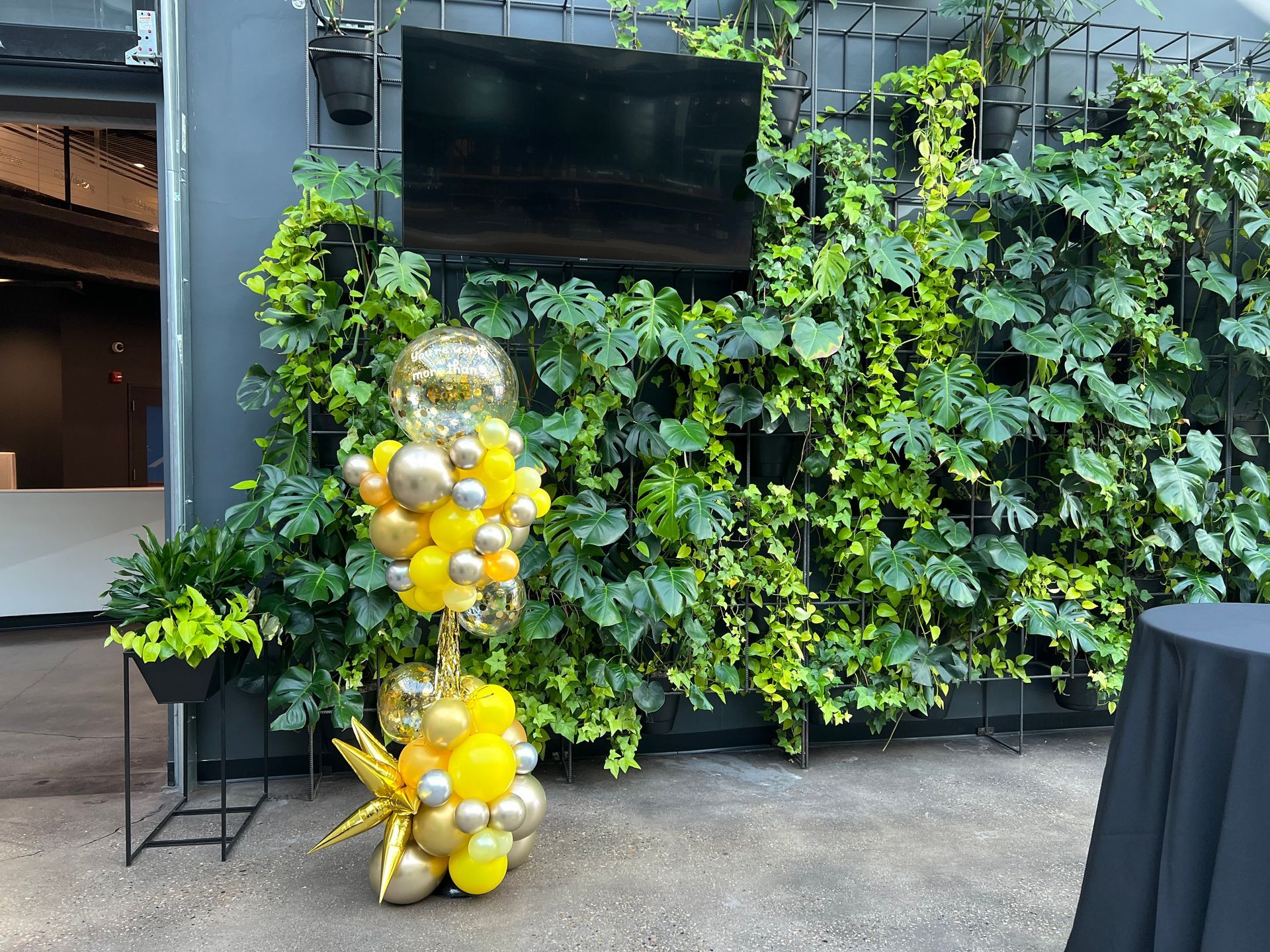 A bunch of balloons are sitting in front of a green wall.