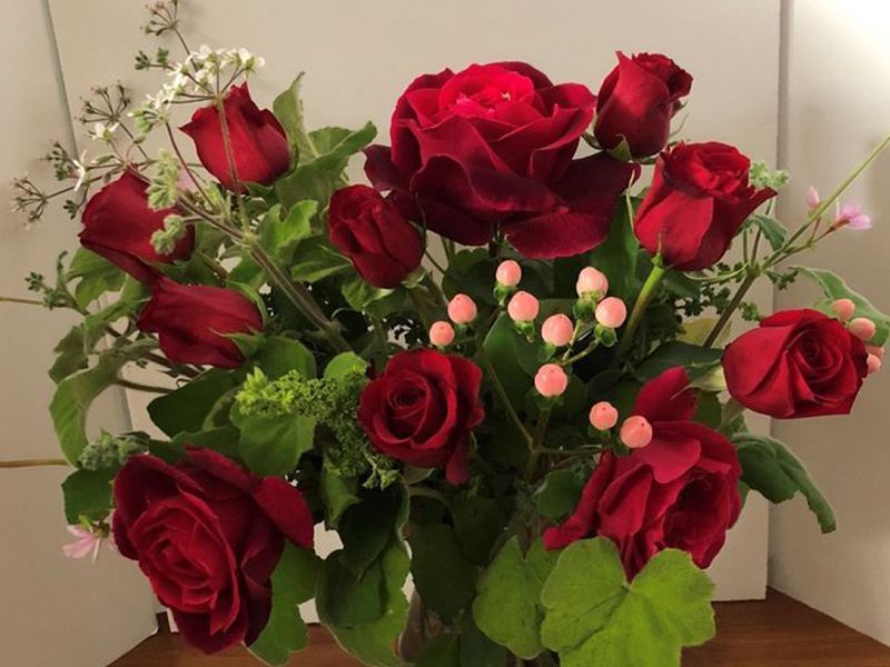 valentine's day flowers gift
