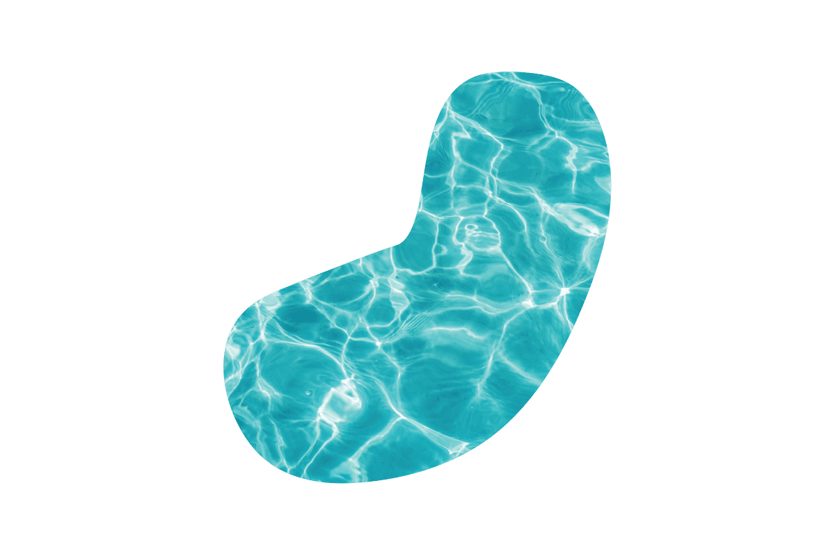 Kidney