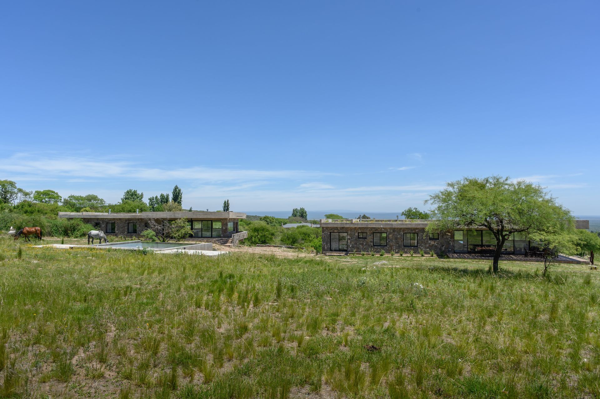 Campo de hierba con dos edificios altos y bajos de madera bajo un cielo azul. Un árbol en primer plano.
