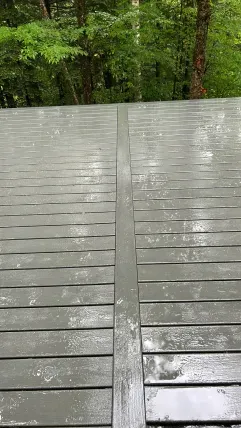 Wet gray deck boards with a central seam, bordered by green forest trees.