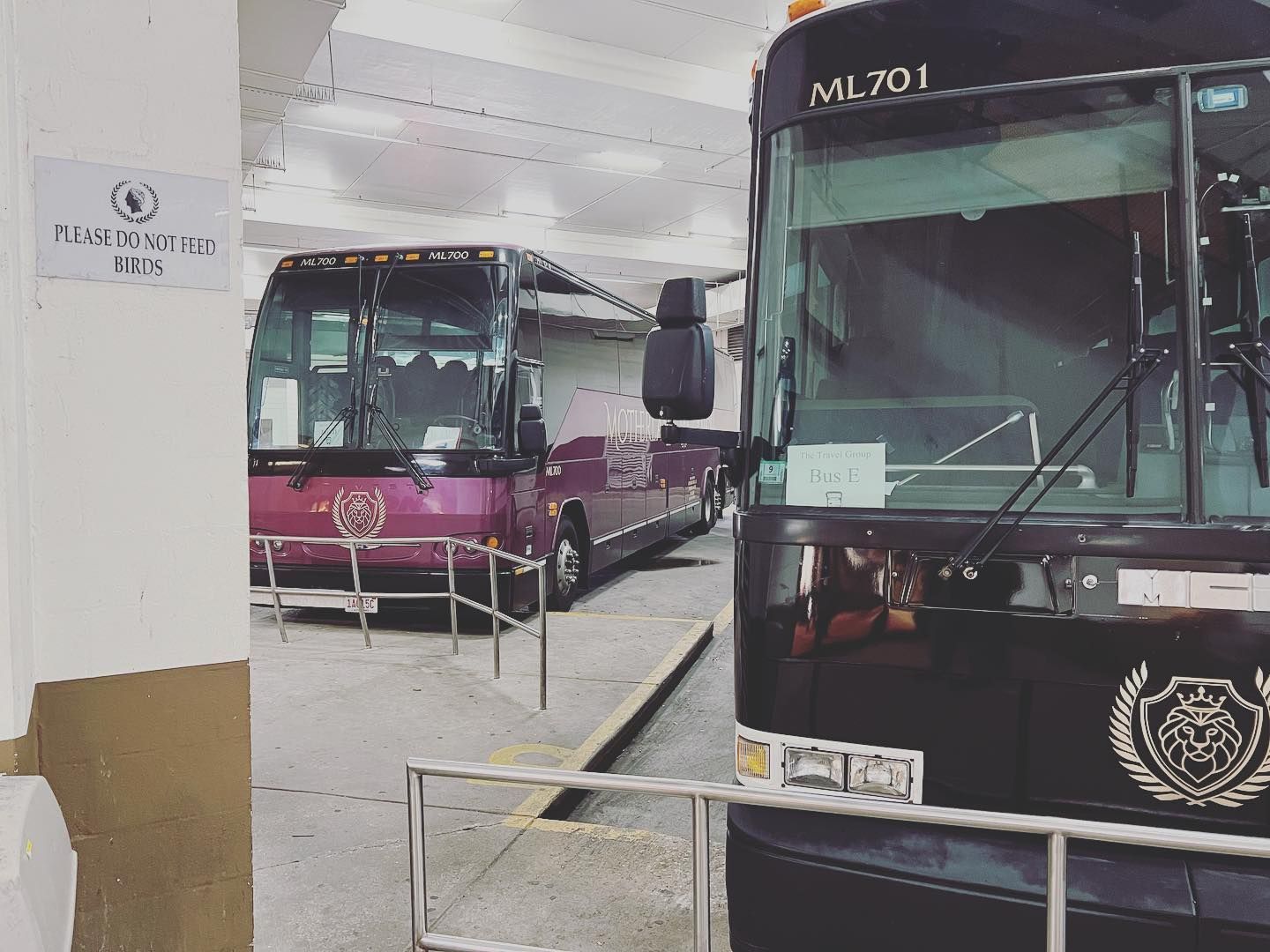 Two buses are parked next to each other in a parking lot.