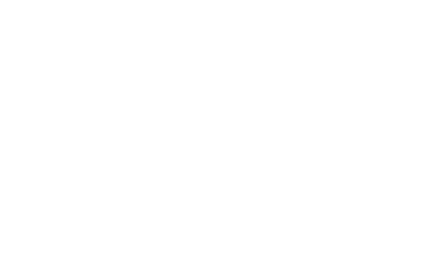 Motherland Coach logo