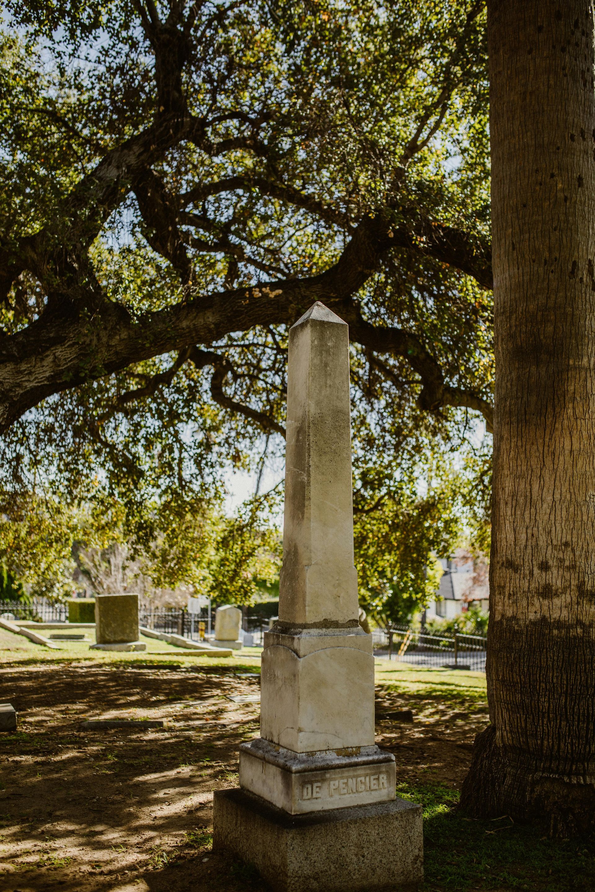tree