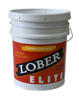 PINTURAS LOBER