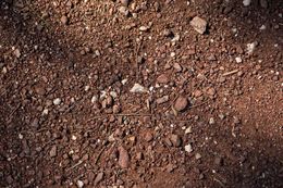 Close-up of reddish-brown rocky soil with scattered small stones and pebbles.