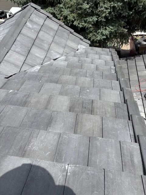 Gray shingled roof with a steep slope and trees in the background