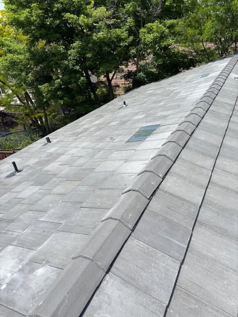 Slate roof with ridge vent and small vents, beside leafy green trees