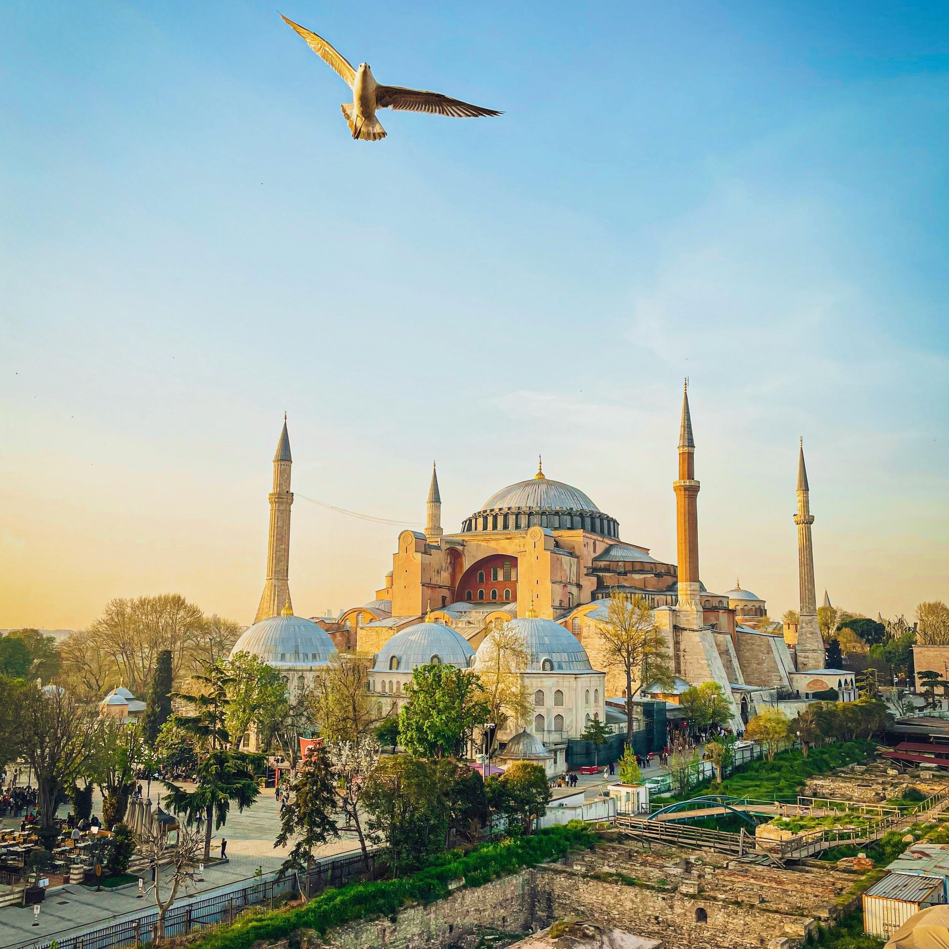 Sunlit Hagia Sophia in Istanbul with a bird flying above and gardens in the foreground