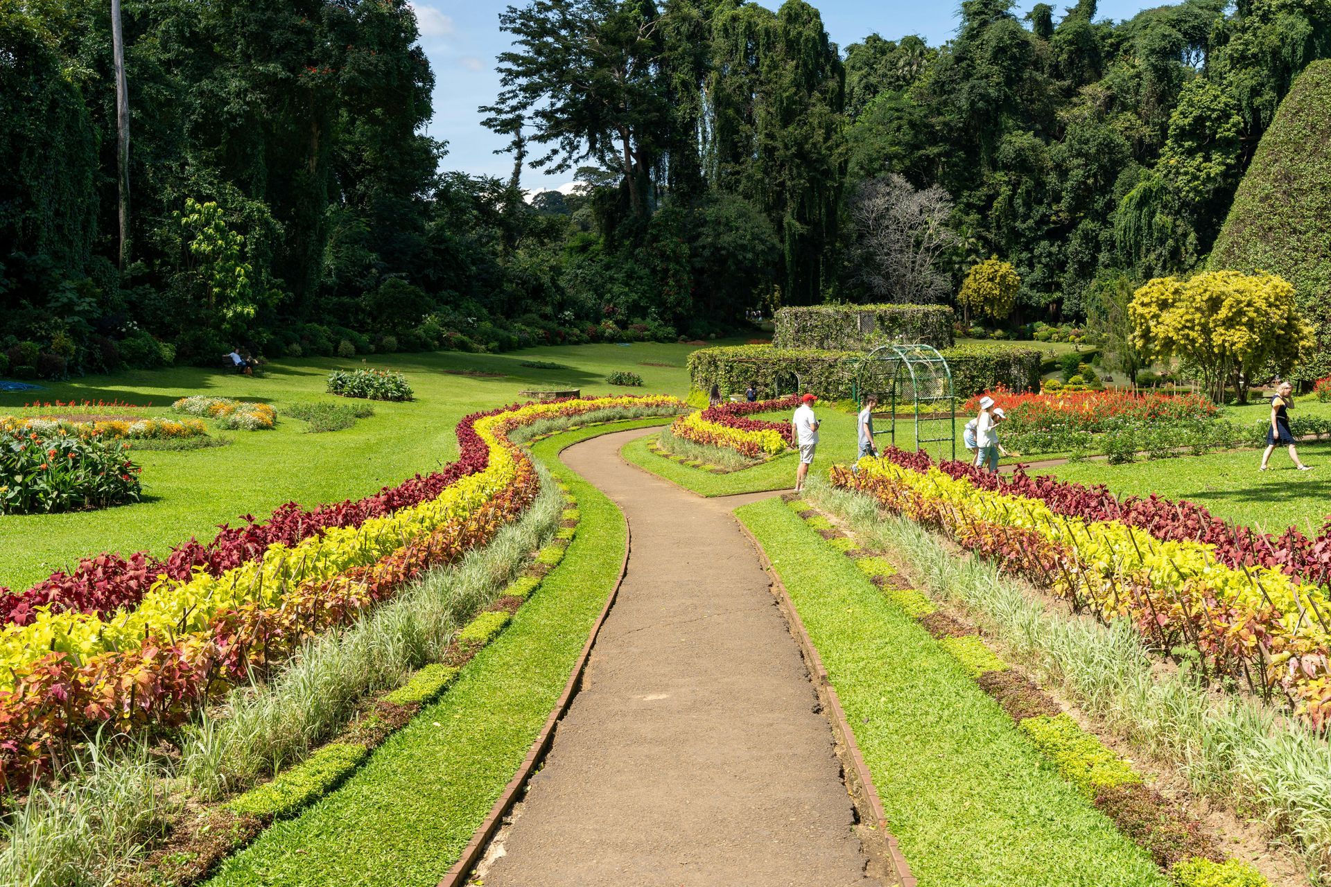 Botanical gardens Peradeniya Kandy. Garden path through colourful flower beds in a lush park under bright sunlight