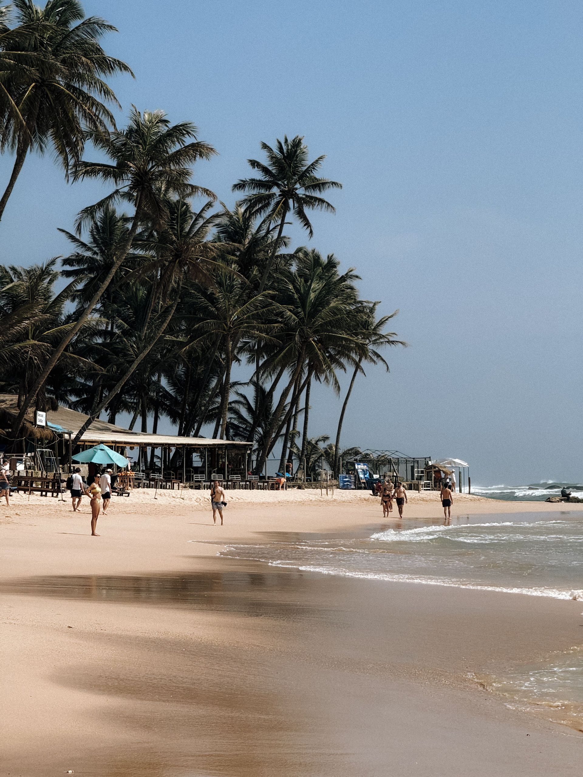 Sri Lanka Beach and Palms